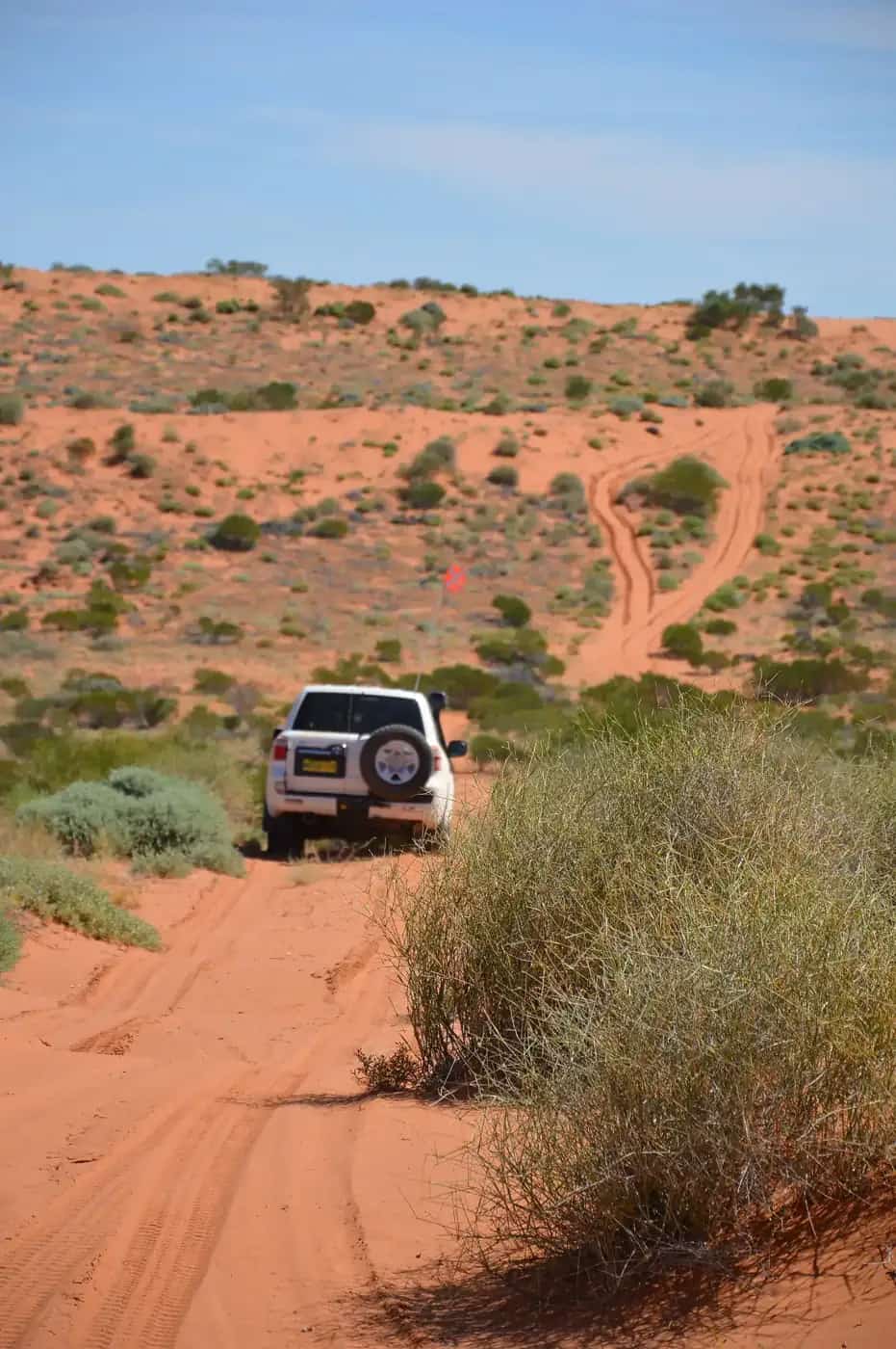A 4WD on the French Line in the Simpson Desert