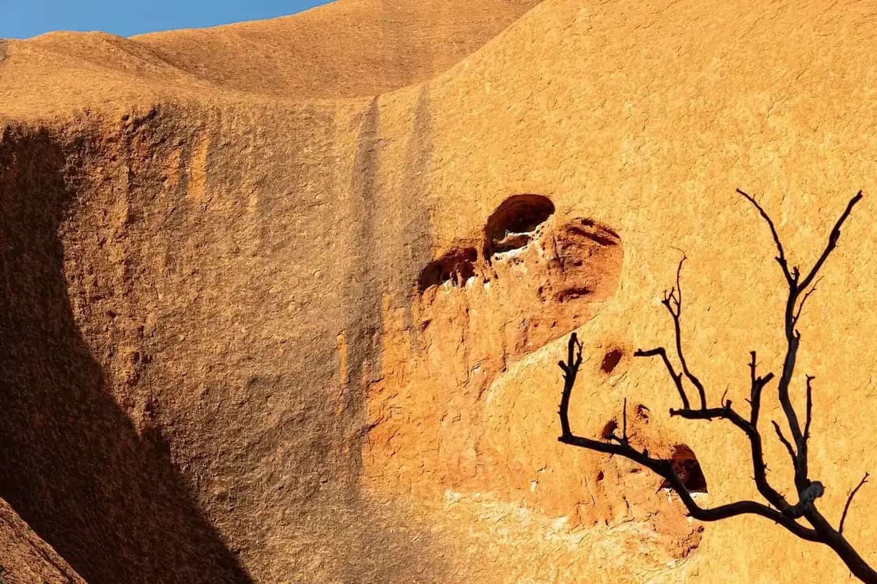 Rock face of Uluru on the Kuniya Walk