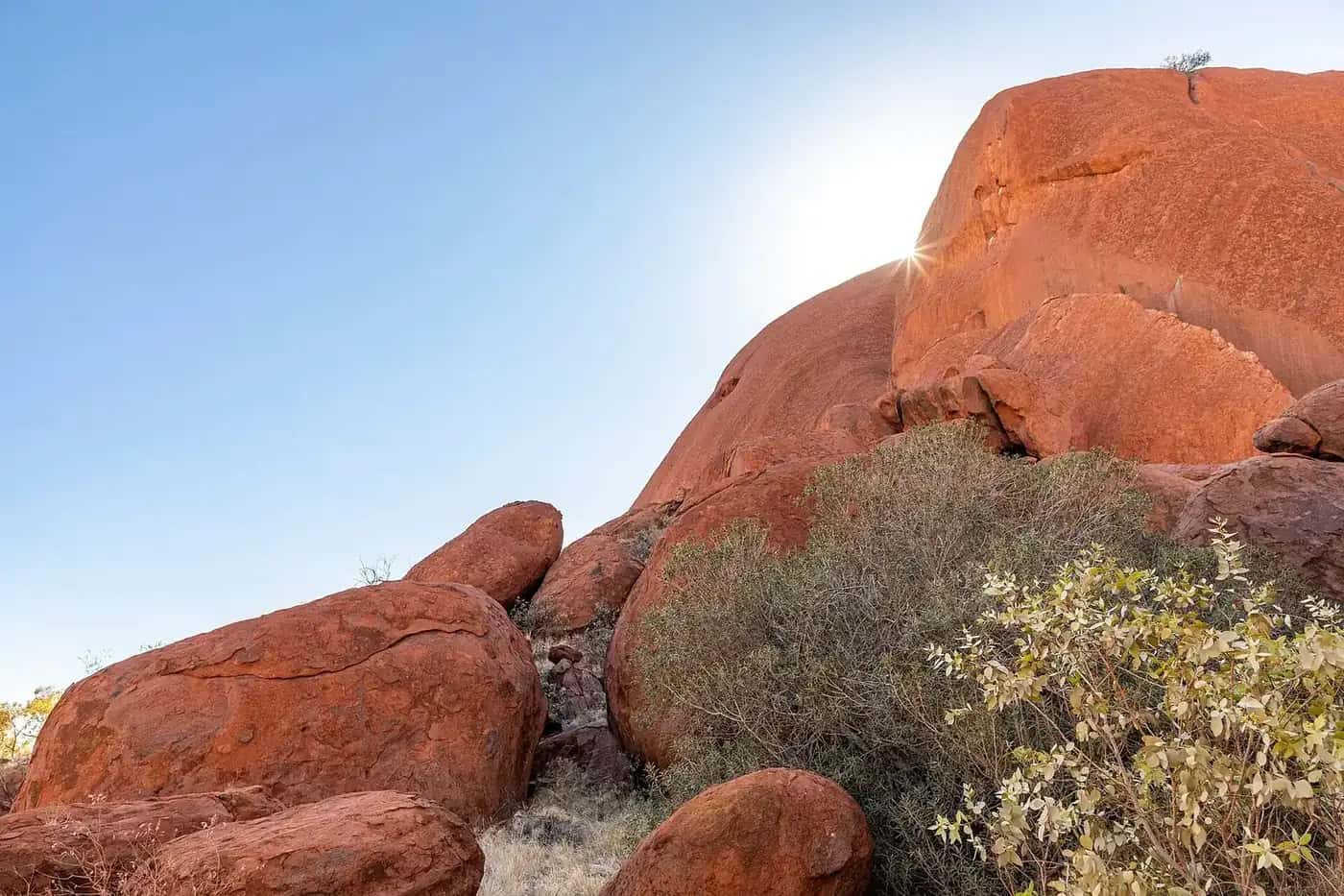 Uluru seen from the Kuniya Walk