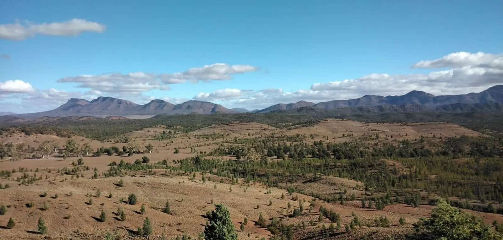 Wilpena Pound in the Flinders Ranges