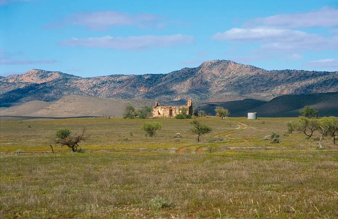 Country north of Hawker on the western edge of the Flinders Ranges