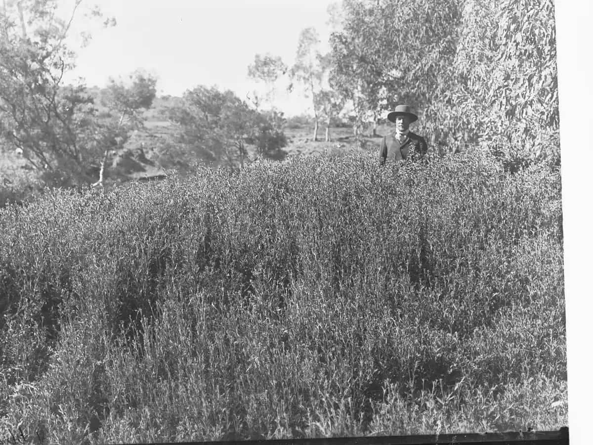 Country near Leigh Creek, South Australia
