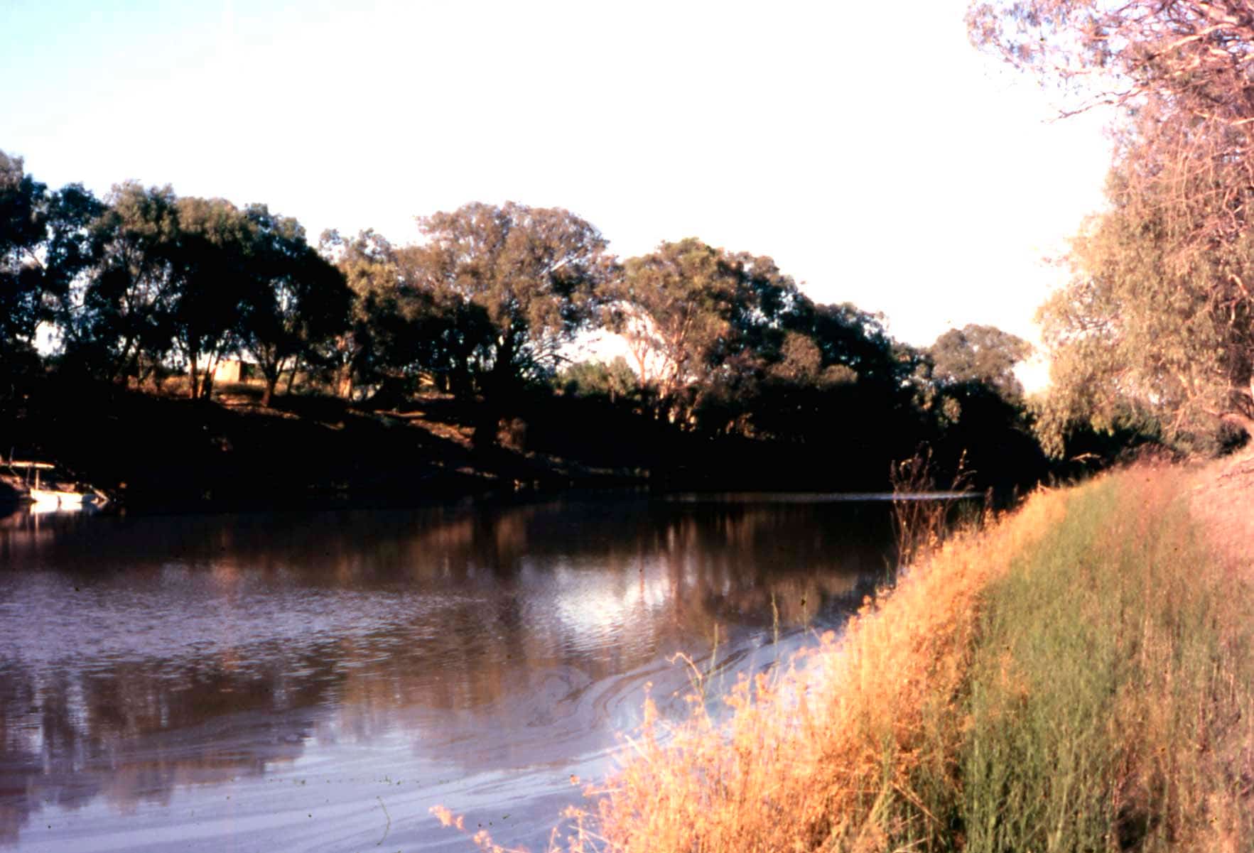 The Darling River at Menindee in 1969