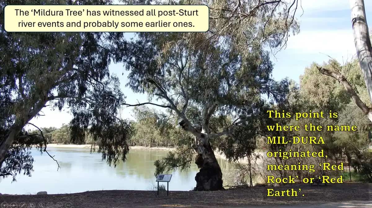 The Murray River at Mildura