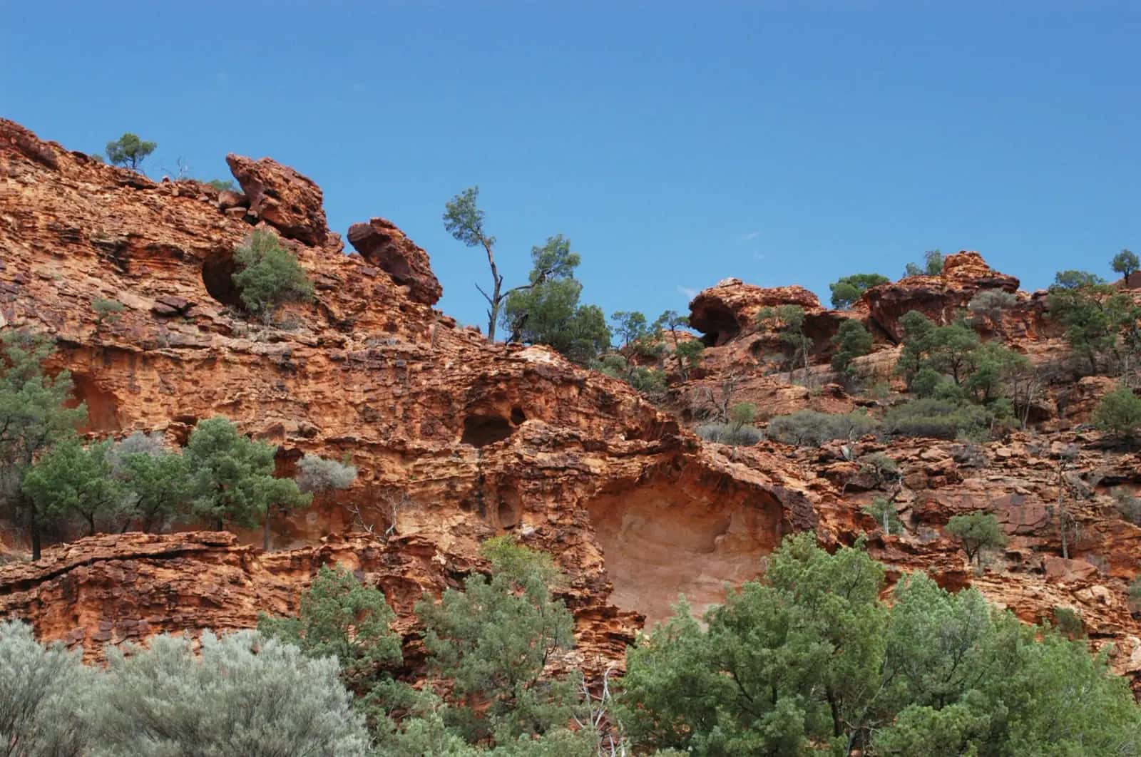 Rocky outcrop in Mutawintji National Park