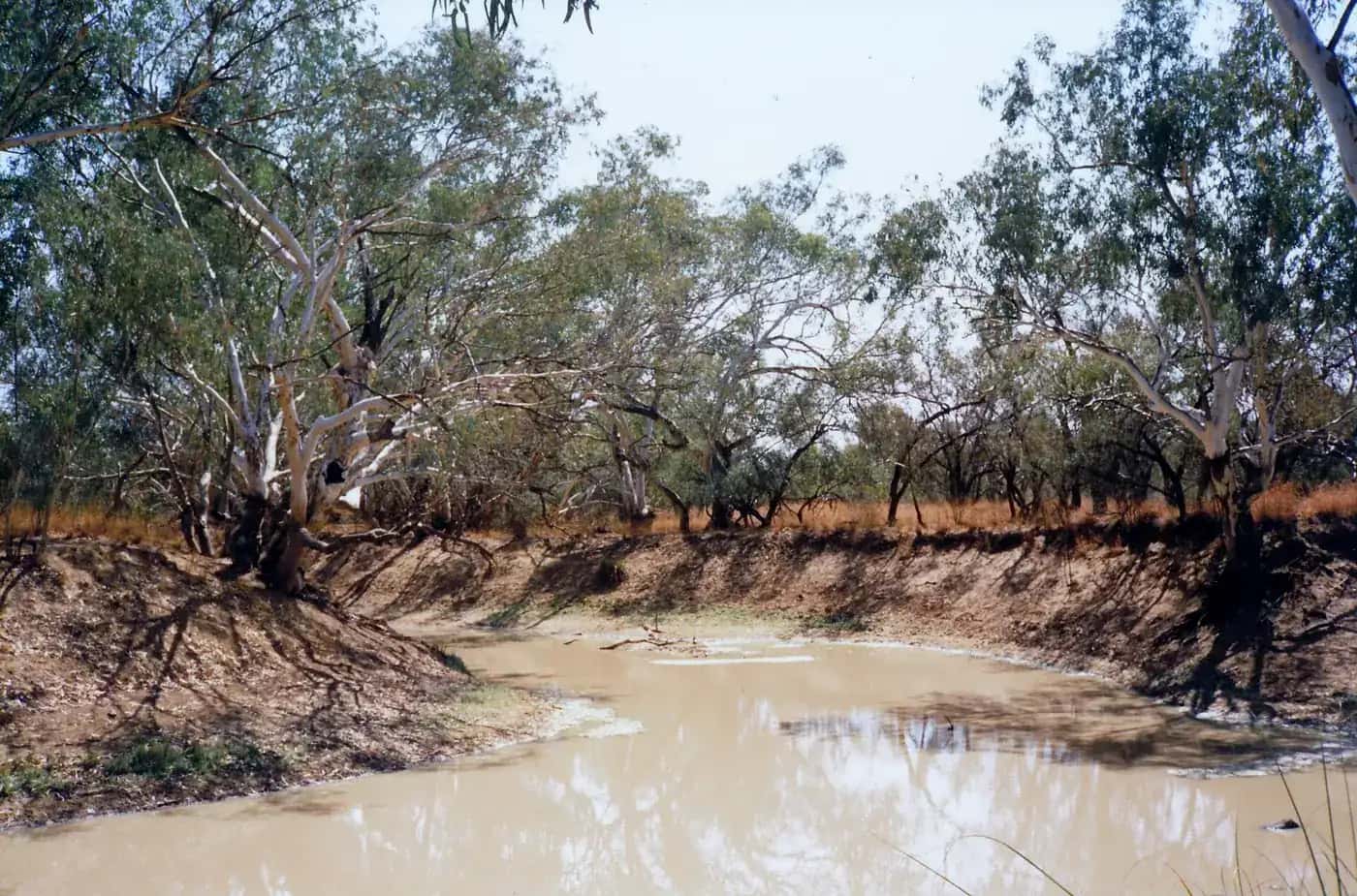 The Bulloo River at Thargomindah, south-west Queensland