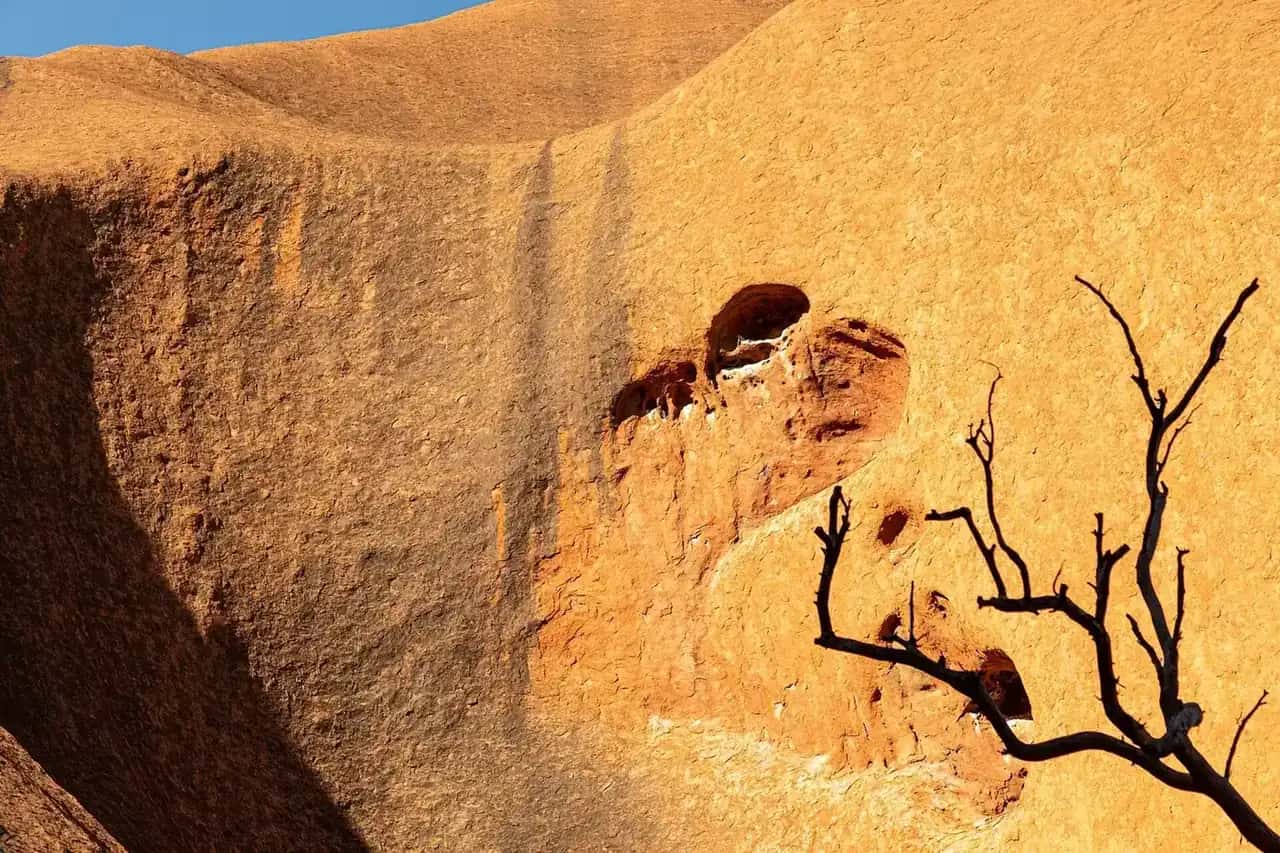 Rock face of Uluru on the Kuniya Walk