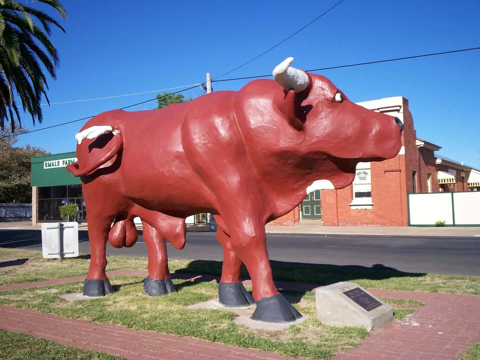 The Mallee Bull statue at Birchip in Victoria's Mallee
